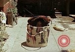 Standbild Reed und Palm Mexiko, 1941, aus Sekunde 34 historischem Filmmaterial Videoclip 65675026512