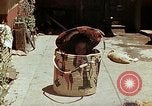 Standbild Reed und Palm Mexiko, 1941, aus Sekunde 35 historischem Filmmaterial Videoclip 65675026512