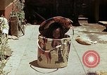Standbild Reed und Palm Mexiko, 1941, aus Sekunde 36 historischem Filmmaterial Videoclip 65675026512