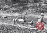 Standbild Koreakrieg Korea, 1951, aus Sekunde 52 historischem Filmmaterial Videoclip 65675026515