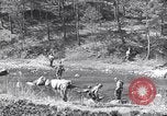 Standbild Koreakrieg Korea, 1951, aus Sekunde 56 historischem Filmmaterial Videoclip 65675026515