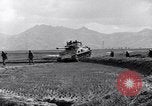 Image of Korean War Korea, 1951, second 37 stock footage video 65675026517