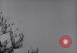 Image of Korean War Korea, 1951, second 10 stock footage video 65675026518