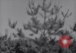 Image of Korean War Korea, 1951, second 51 stock footage video 65675026518