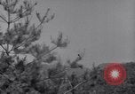 Image of Korean War Korea, 1951, second 52 stock footage video 65675026518
