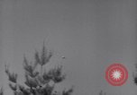 Image of Korean War Korea, 1951, second 57 stock footage video 65675026518