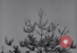 Image of Korean War Korea, 1951, second 58 stock footage video 65675026518