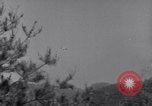 Image of Korean War Korea, 1951, second 59 stock footage video 65675026518