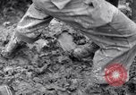 Image of Korean War Korea, 1951, second 37 stock footage video 65675026519