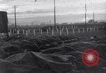 Image of US Army Korean War atrocity victims Korea, 1952, second 26 stock footage video 65675026522