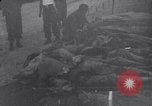 Image of US Army Korean War atrocity victims Korea, 1952, second 32 stock footage video 65675026522