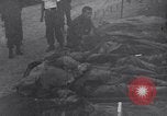Image of US Army Korean War atrocity victims Korea, 1952, second 35 stock footage video 65675026522