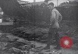 Image of US Army Korean War atrocity victims Korea, 1952, second 38 stock footage video 65675026522