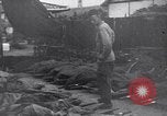 Image of US Army Korean War atrocity victims Korea, 1952, second 39 stock footage video 65675026522