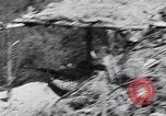 Image of Eve of Korean War South Korea, 1950, second 28 stock footage video 65675026524