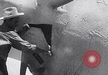 Image of United Nations resolution start of Korean War United States USA, 1950, second 22 stock footage video 65675026525