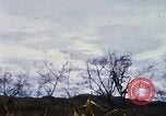 Image of USAF tactical fighter bombers supporting 1st Cavalry troops in Vietnam Vietnam, 1968, second 28 stock footage video 65675026527