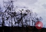 Image of USAF tactical fighter bombers supporting 1st Cavalry troops in Vietnam Vietnam, 1968, second 49 stock footage video 65675026527