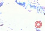 Image of Operation Jeb Stuart III Vietnam, 1968, second 1 stock footage video 65675026528