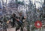 Image of Operation Jeb Stuart III Vietnam, 1968, second 18 stock footage video 65675026528