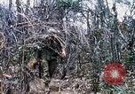 Image of Operation Jeb Stuart III Vietnam, 1968, second 24 stock footage video 65675026528