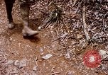 Image of Operation Jeb Stuart III Vietnam, 1968, second 31 stock footage video 65675026528