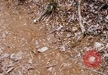 Image of Operation Jeb Stuart III Vietnam, 1968, second 33 stock footage video 65675026528