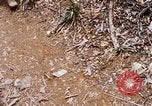 Image of Operation Jeb Stuart III Vietnam, 1968, second 34 stock footage video 65675026528