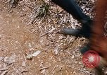 Image of Operation Jeb Stuart III Vietnam, 1968, second 36 stock footage video 65675026528