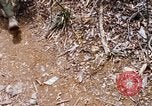 Image of Operation Jeb Stuart III Vietnam, 1968, second 38 stock footage video 65675026528