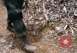 Image of Operation Jeb Stuart III Vietnam, 1968, second 48 stock footage video 65675026528