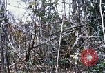 Image of Operation Jeb Stuart III Vietnam, 1968, second 52 stock footage video 65675026528