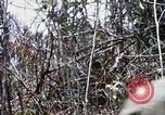 Image of Operation Jeb Stuart III Vietnam, 1968, second 54 stock footage video 65675026528
