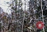 Image of Operation Jeb Stuart III Vietnam, 1968, second 61 stock footage video 65675026528