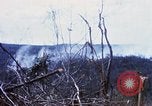 Image of U.S. Fighter bombers and Army helicopters in action during Operation J Vietnam, 1968, second 24 stock footage video 65675026532