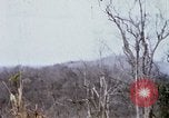 Image of U.S. Fighter bombers and Army helicopters in action during Operation J Vietnam, 1968, second 32 stock footage video 65675026532