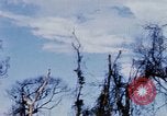 Image of U.S. Fighter bombers and Army helicopters in action during Operation J Vietnam, 1968, second 56 stock footage video 65675026532