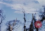 Image of U.S. Fighter bombers and Army helicopters in action during Operation J Vietnam, 1968, second 57 stock footage video 65675026532