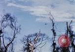 Image of U.S. Fighter bombers and Army helicopters in action during Operation J Vietnam, 1968, second 58 stock footage video 65675026532