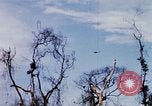 Image of U.S. Fighter bombers and Army helicopters in action during Operation J Vietnam, 1968, second 59 stock footage video 65675026532