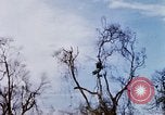 Image of U.S. Fighter bombers and Army helicopters in action during Operation J Vietnam, 1968, second 61 stock footage video 65675026532