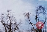 Image of U.S. Fighter bombers and Army helicopters in action during Operation J Vietnam, 1968, second 62 stock footage video 65675026532