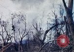 Image of Operation Jeb Stuart III Vietnam, 1968, second 31 stock footage video 65675026533