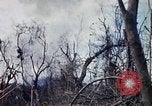 Image of Operation Jeb Stuart III Vietnam, 1968, second 32 stock footage video 65675026533