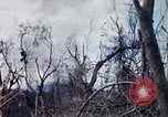 Image of Operation Jeb Stuart III Vietnam, 1968, second 33 stock footage video 65675026533