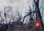 Image of Operation Jeb Stuart III Vietnam, 1968, second 34 stock footage video 65675026533