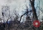 Image of Operation Jeb Stuart III Vietnam, 1968, second 35 stock footage video 65675026533