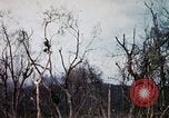 Image of Operation Jeb Stuart III Vietnam, 1968, second 43 stock footage video 65675026533