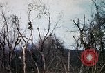 Image of Operation Jeb Stuart III Vietnam, 1968, second 45 stock footage video 65675026533