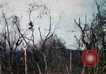 Image of Operation Jeb Stuart III Vietnam, 1968, second 46 stock footage video 65675026533